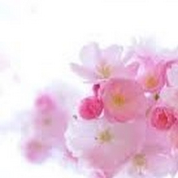 Meet your Posher, Mishia - Picture 1 of 1